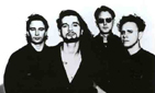 DM 1993
